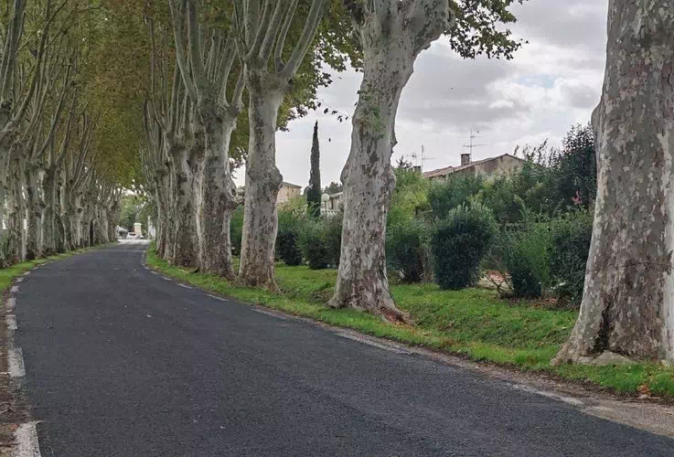 Nîmes Road Access